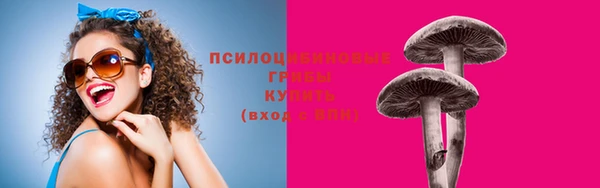 соль курить ск Верхний Тагил