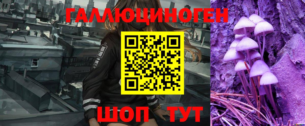 Псилоцибиновые грибы MAGIC MUSHROOMS  Губкин  Псилоцибиновые грибы Psilocybine cubensis 